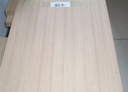 白山金星灯饰装潢材料